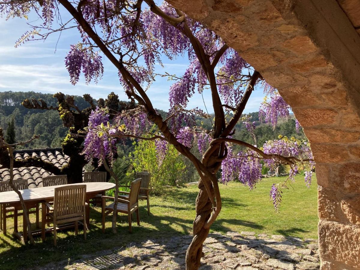 Mas De La Giralde - B&B Payzac  Εξωτερικό φωτογραφία
