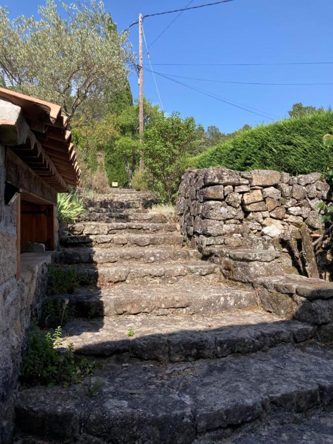 Mas De La Giralde - B&B Payzac  Εξωτερικό φωτογραφία